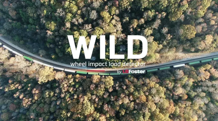 WILD - Wheel Impact Load Detector.
